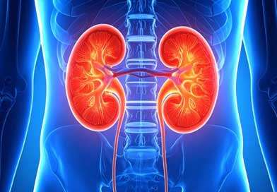 වකුගඩුව විකුණන්න මුහුණුපොතට දාලා