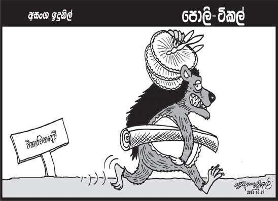 පොලි ටිකල් 27-10-2026