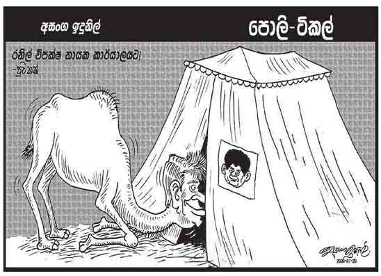 පොලි ටිකල් 20-07-2026