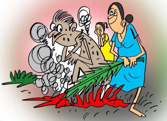 පෙරේතකම “ඇලජික්” වී පොල්කොළ දුම් අල්ලලා