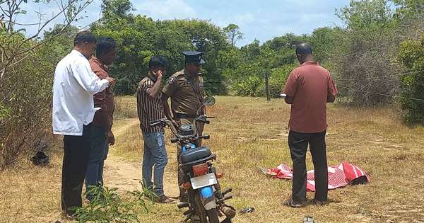 වඩ්ඩා බිරිය කැලයට රැගෙන ගිහින් මරා දමලා