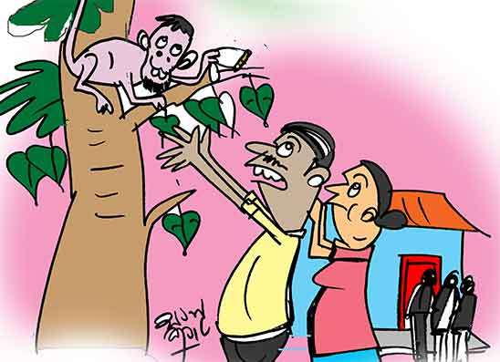 අපලෙට හැදූ යන්ත්‍රය රිළවා ඩැහැගෙන