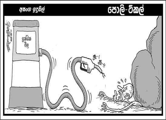 පොලි ටිකල් 17-09-2026