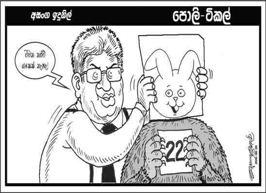 පොලි ටිකල් 20-08-2026