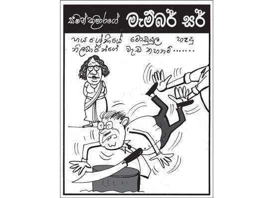 මැම්බර් සර් 20-01-2026