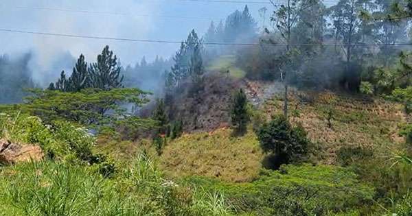 ගිනිගත්හේන ෆයිනස් රක්ෂිතයේ ගින්නක්: අක්කර 20ක් විනාසයි