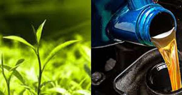 තෙල් - තේ ගිවිසුම කැඩුවාට ඉරානයට මිලියන 119ක් ගෙවයි