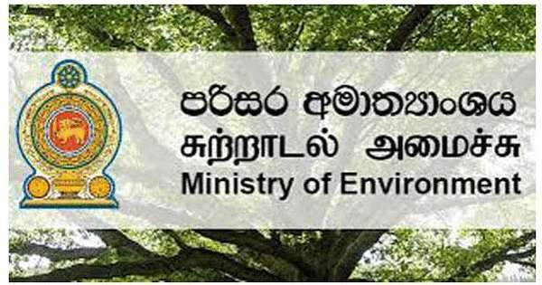 අලි ඇතුන්ට වෙඩි තැබීම පිටුපස සංවිධානාත්මක ජාලයක්?