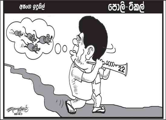 පොලි ටිකල් 21-08-2026