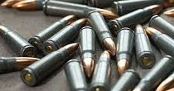 ගම්පහ ගෙවත්තකින් උණ්ඩ හමුවේ