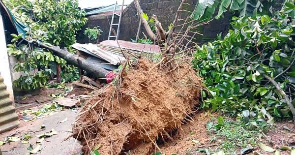 තද සුළඟකින් හෝමාගම නිවාස 52කට හානි