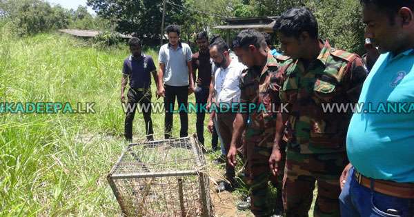 සීගිරි අභය භූමියට හෝටලයෙන් අපද්‍රව්‍ය