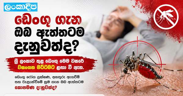 ඩෙංගු ගැන ඔබ ඇත්තටම දැනුවත්ද?