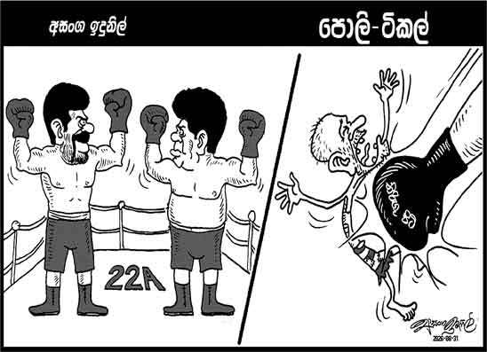 පොලි ටිකල් 31-08-2026