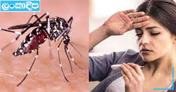 2025 ජුනි වෙද්දී ඩෙංගු මරණ 16ක් : රෝගීහු  27,932 ක්