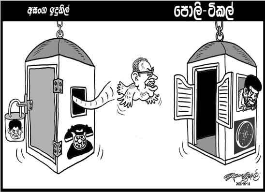 පොලි ටිකල් 18-05-2026