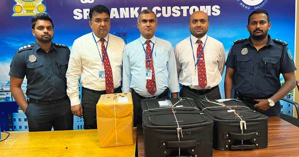 කෝටි 20කට අධික හෂීෂ් සමග කැනඩා පින්තාරුකරු මාට්ටු