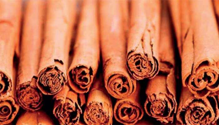 කෘෂිකර්මාන්තයට රුපියල් මිලියන ගණනක් පාඩු කරන බෝග සොරකම: කඩිනම් රාජ්‍ය මැදිහත්වීමක් අවශ්‍ය බව ලංකා වැවිලිකරුවන්ගේ සංගමය කියයි