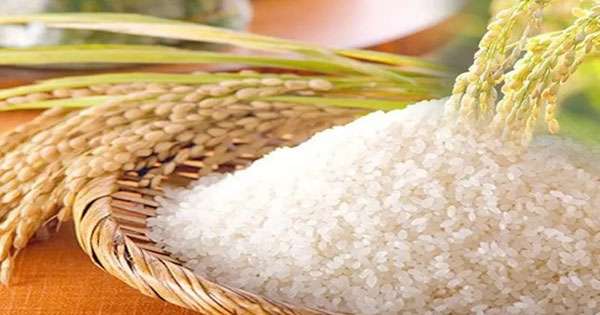 සම්බා - කීරි සම්බා සමාන හාල් රටින් ගෙනෙයි