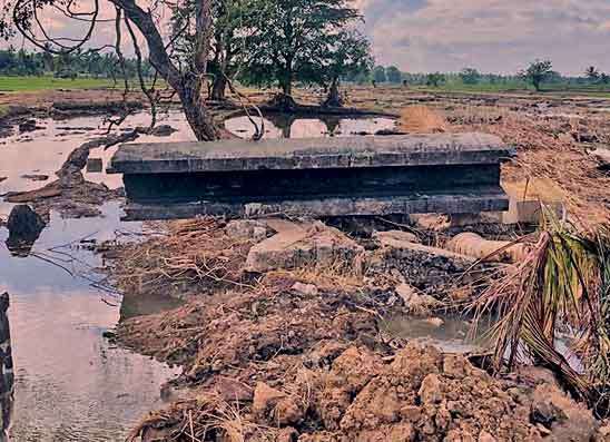 දිට්වා බලපෑ පවුල් 256,012 ක ජීවනෝපාය නැංවීමට ඩොලර් ලක්ෂ 165ක් ඔනෑ