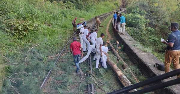 බදුලු දුම්රිය මාර්ගයට ගස් වැටේ