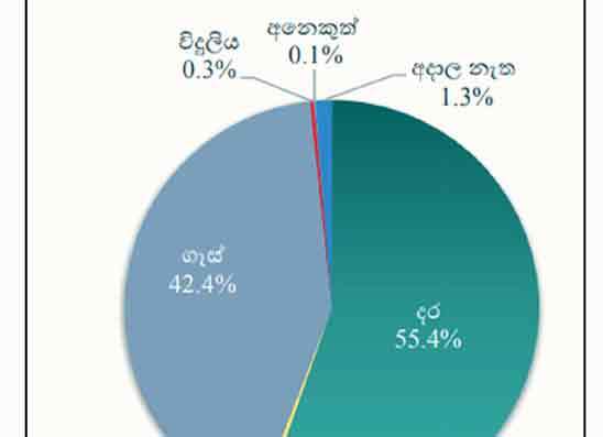 රටෙන් සියයට 55ක් ආහාර පිසින්නේ දරවලින්