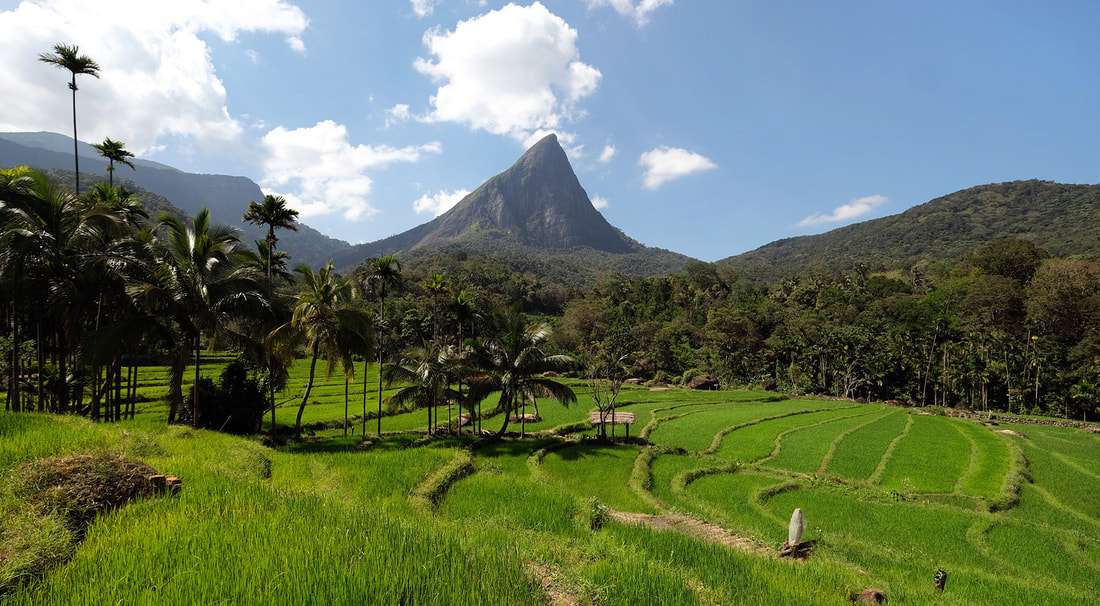 සුළි කුණාටුවේ බලපෑමෙන්  මාසයක් කොටු වී සිටින මීමුරේ ජනතාව