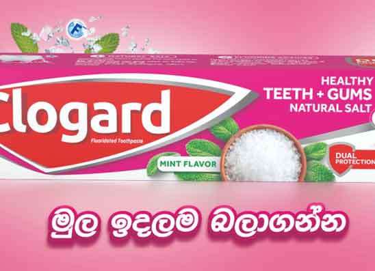 නිරෝගී විදුරුමසක් වෙනුවෙන් මුල ඉදලම බලා ගන්න