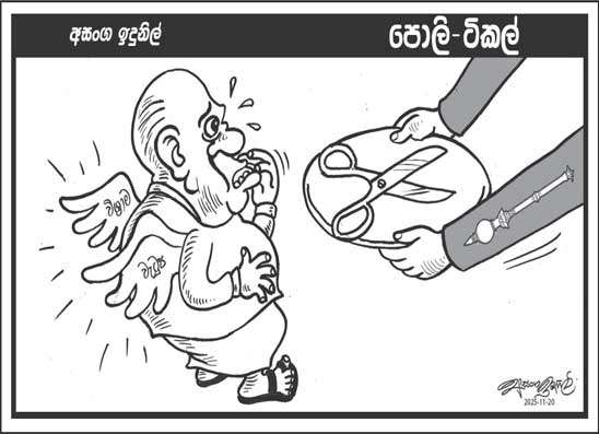 පොලි ටිකල් 20-11-2025