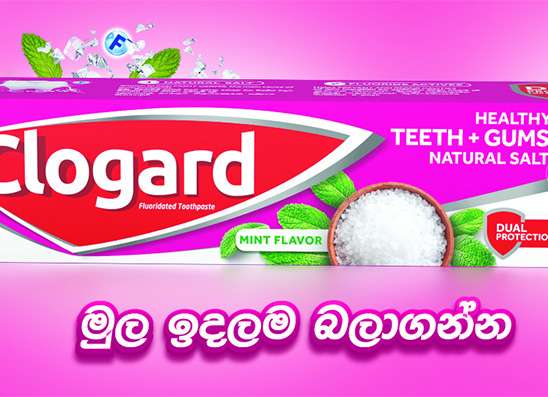 නිරෝගී විදුරුමසක් වෙනුවෙන් මුල ඉදලම බලා ගන්න
