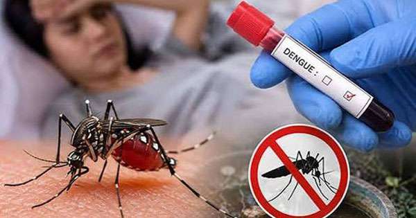 ඩෙංගු ආසාදිතයන් ලක්ෂය පනී