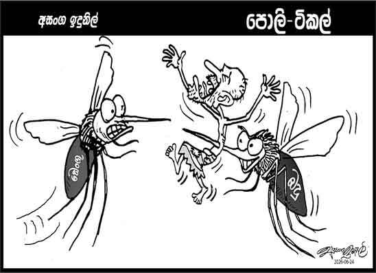 පොලි ටිකල් 24-06-2026