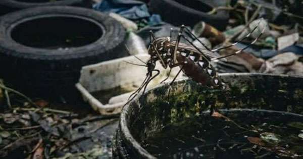 රටේ ඩෙංගු අධි වසංගතයක්