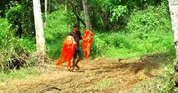අන්තරේ මල්වානේ ඉඩමෙන් යයි
