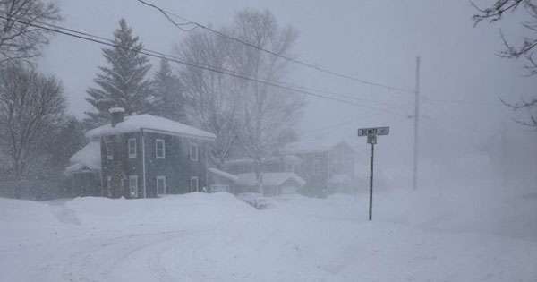 ශිත කුණාටුව ගුවන් ගමන් 8000ක් නවතයි