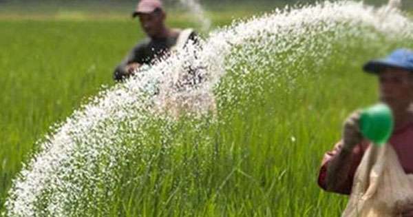 පොහොර සහනාධාරය 5000කින් ඉහළට