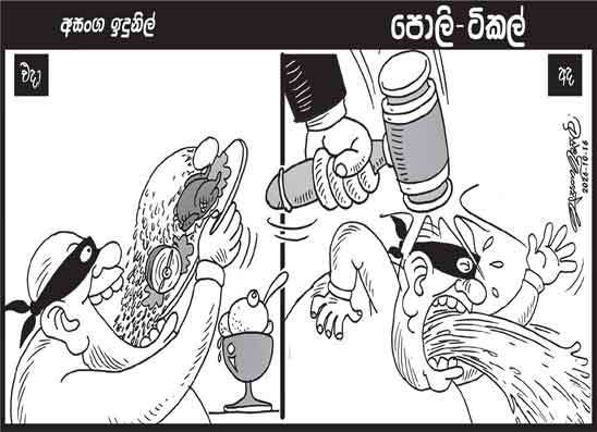 පොලි ටිකල් 16-10-2026