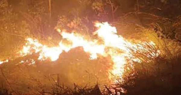 තන්තිරිමලේ ලඳු කැලෑවක ගින්නක්