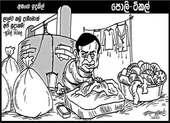 පොලි ටිකල් 21-04-2026