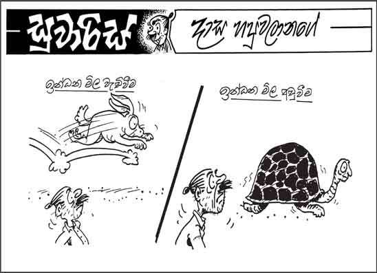 සුවාරිස් 01-07-2026