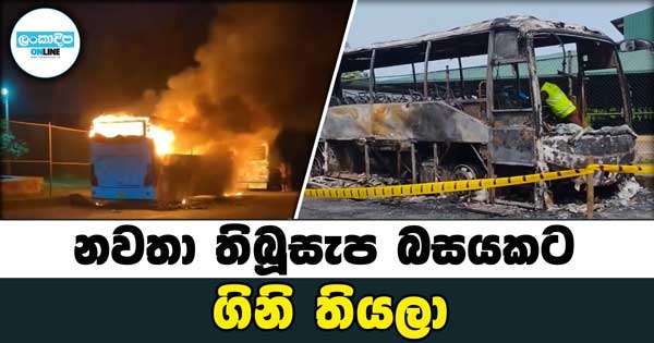 නවතා තිබූ සැප බසයකට ගිනි තියලා