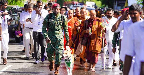 පා ගමනේ ආ හිමි නමක් රෝගී වෙති