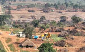 ආණ්ඩුව නිහඬව සිටිය දී සමාගම් 17 ක් නීති විරෝධී ව අක්කර 1000 ක හම්බන්තොට අලි නිජබිම් වනසයි