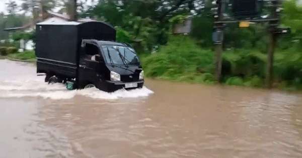 හලාවත යට වේ