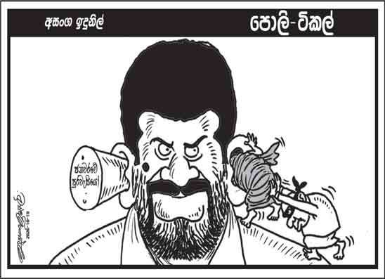 පොලි ටිකල් 19-10-2026
