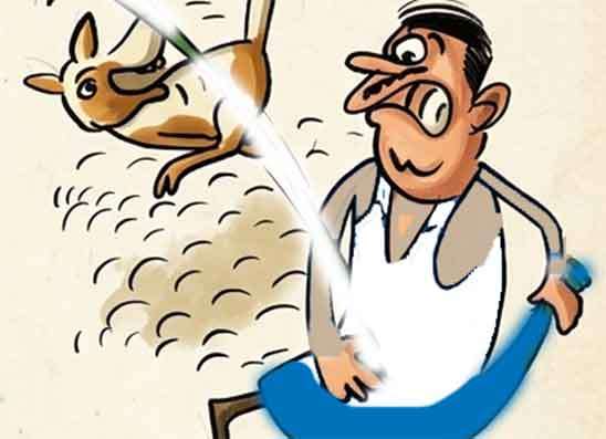 බල්ලා පන්නන්න ගිහින් ෆෝනයත් කුඩු කරගෙන