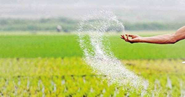ගොවි සුබ සාධනයට කෝටි 4600ක්