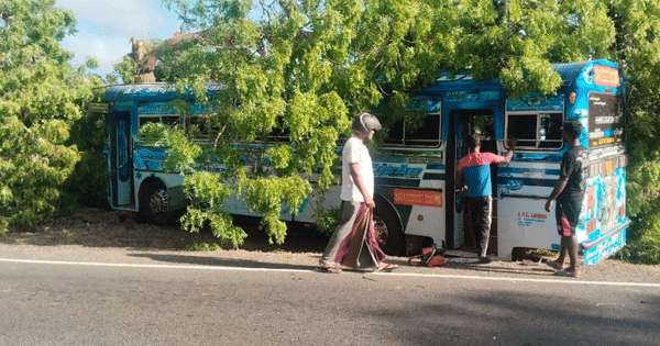 වීරවිල අනතුරකින් 15ක් රෝහලට