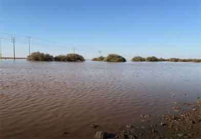 සෞදිය සුන්දර කළ වැස්ස