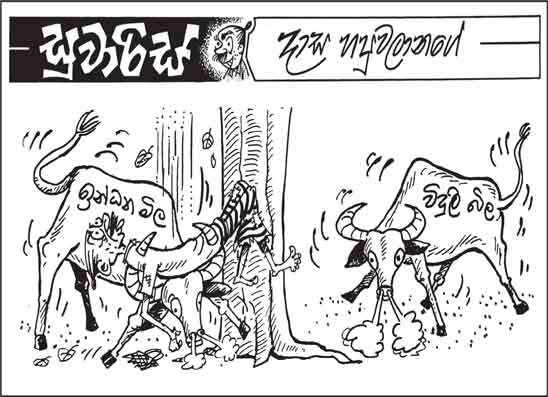 සුවාරිස් 05-05-2026